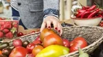 A womans hand reaching into a basket of vegetables
